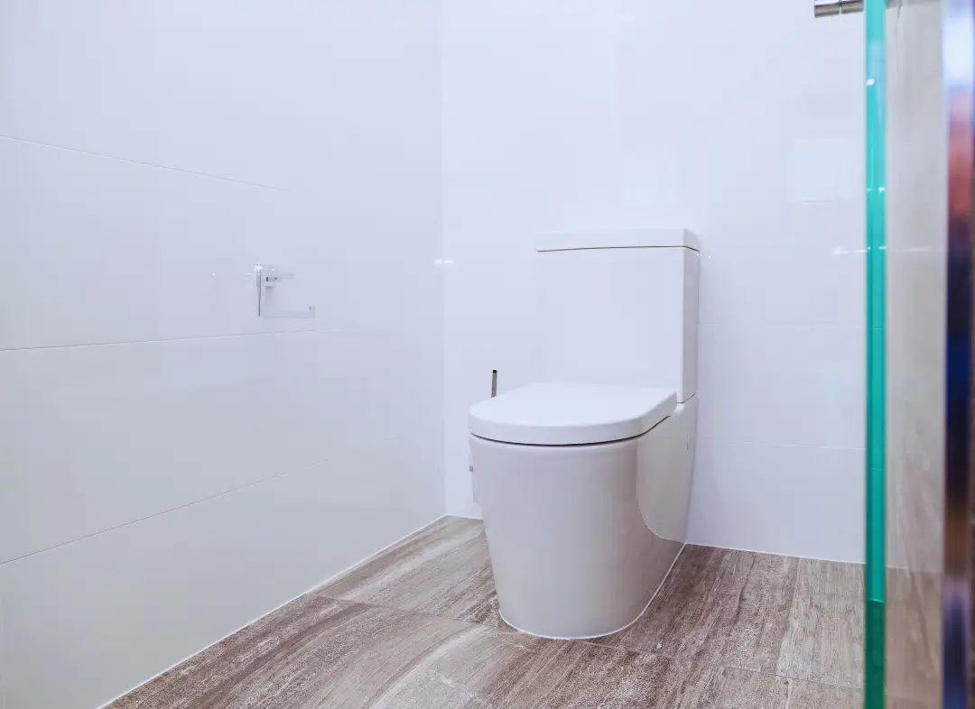 Remplacement de wc Benfeld